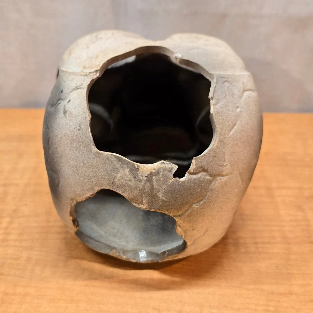 Plastic Human Skull Small 5